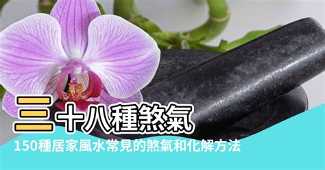 屋內蛇煞|【風水化解】150種居家風水常見的煞氣和化解方法 